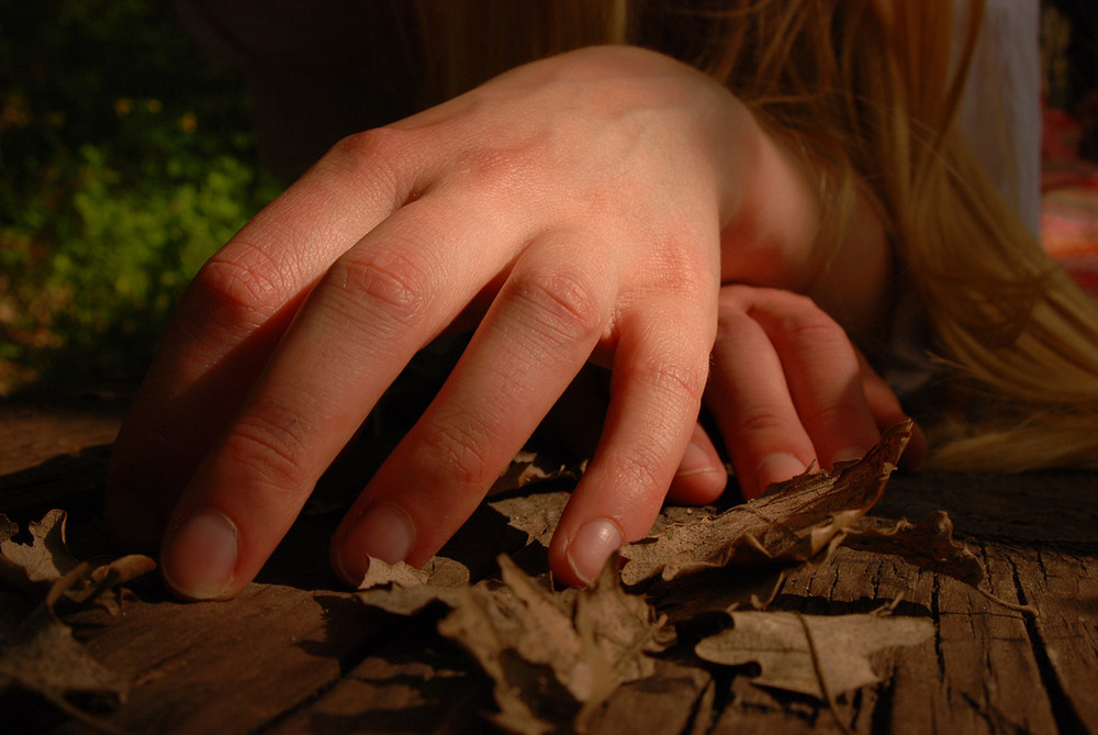 Hands & Leaf