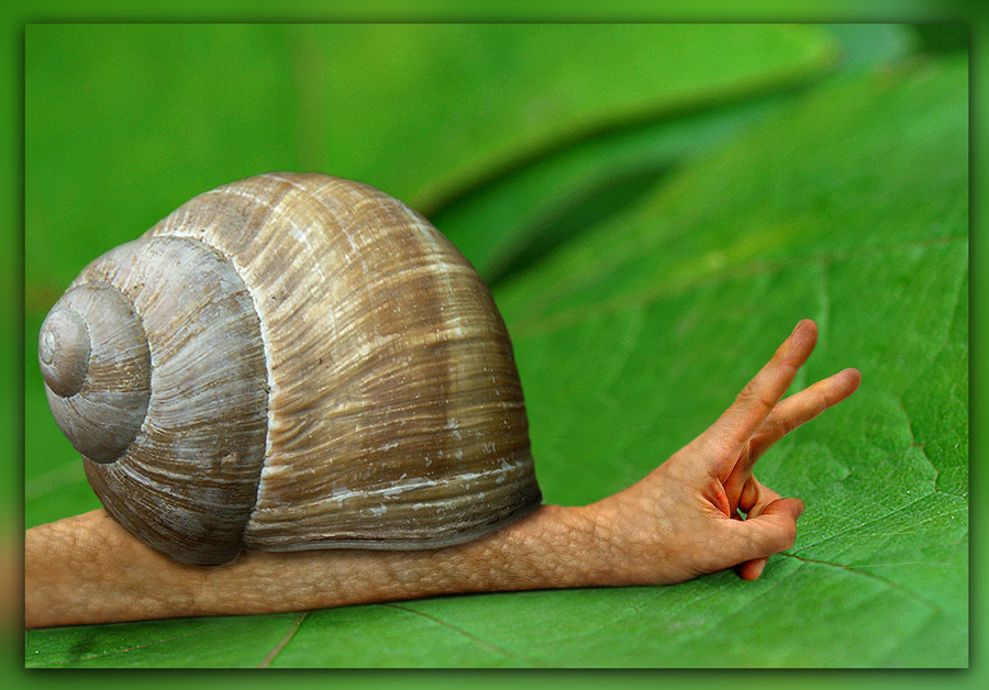 Handschnecke