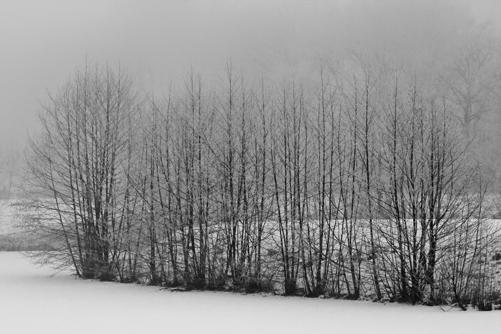 Handschuh- und Mützenwetter