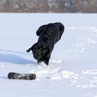 Handstand