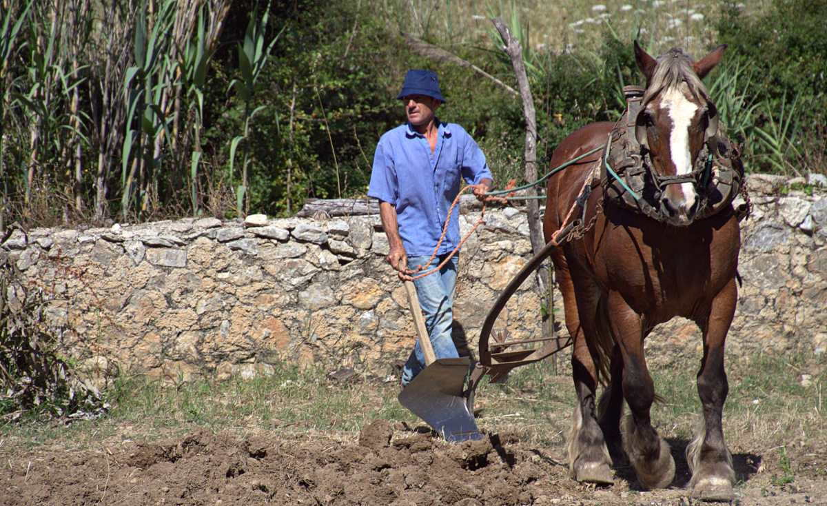 Handwerk auf Mallorca. 