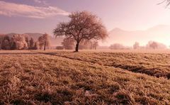 Landschaft