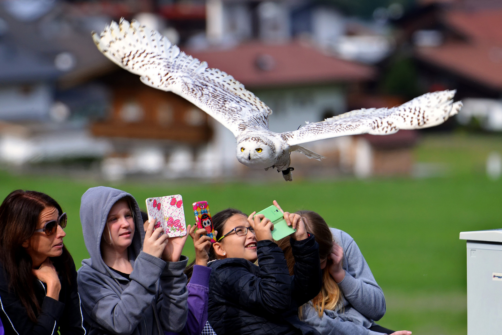 Handyfotografie 