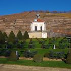 Hanganlage zwischen Schloss Wackersbarth und dem Belvidere