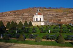 Hanganlage zwischen Schloss Wackersbarth und dem Belvidere