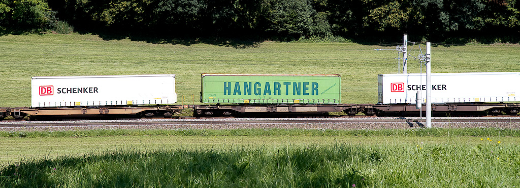 Hangartner (1a)