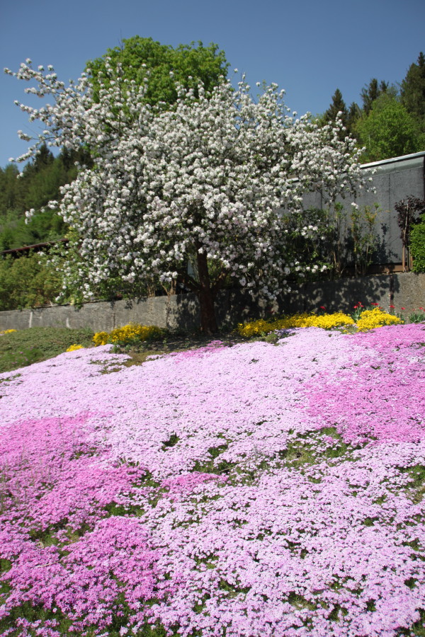 Hanggarten im Sommer