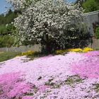 Hanggarten im Sommer