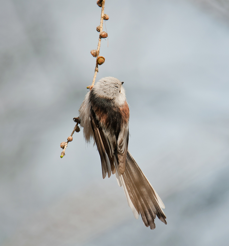 Hangin' about