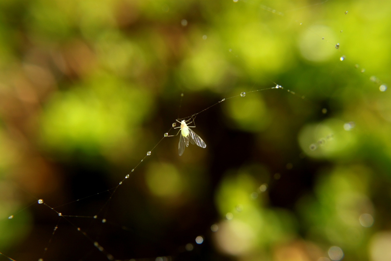 hangin´ around