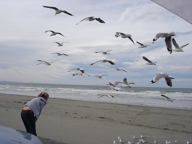 Hangin' around at the beach.