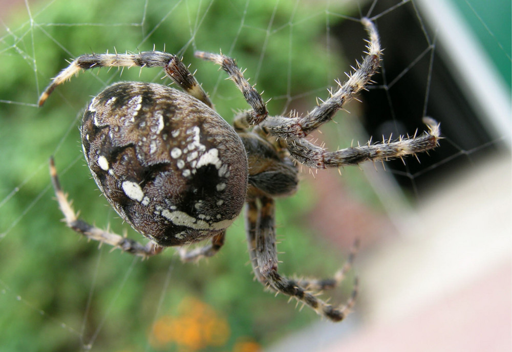 hangin' around