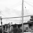 Hangin' Around in Viñales, Cuba