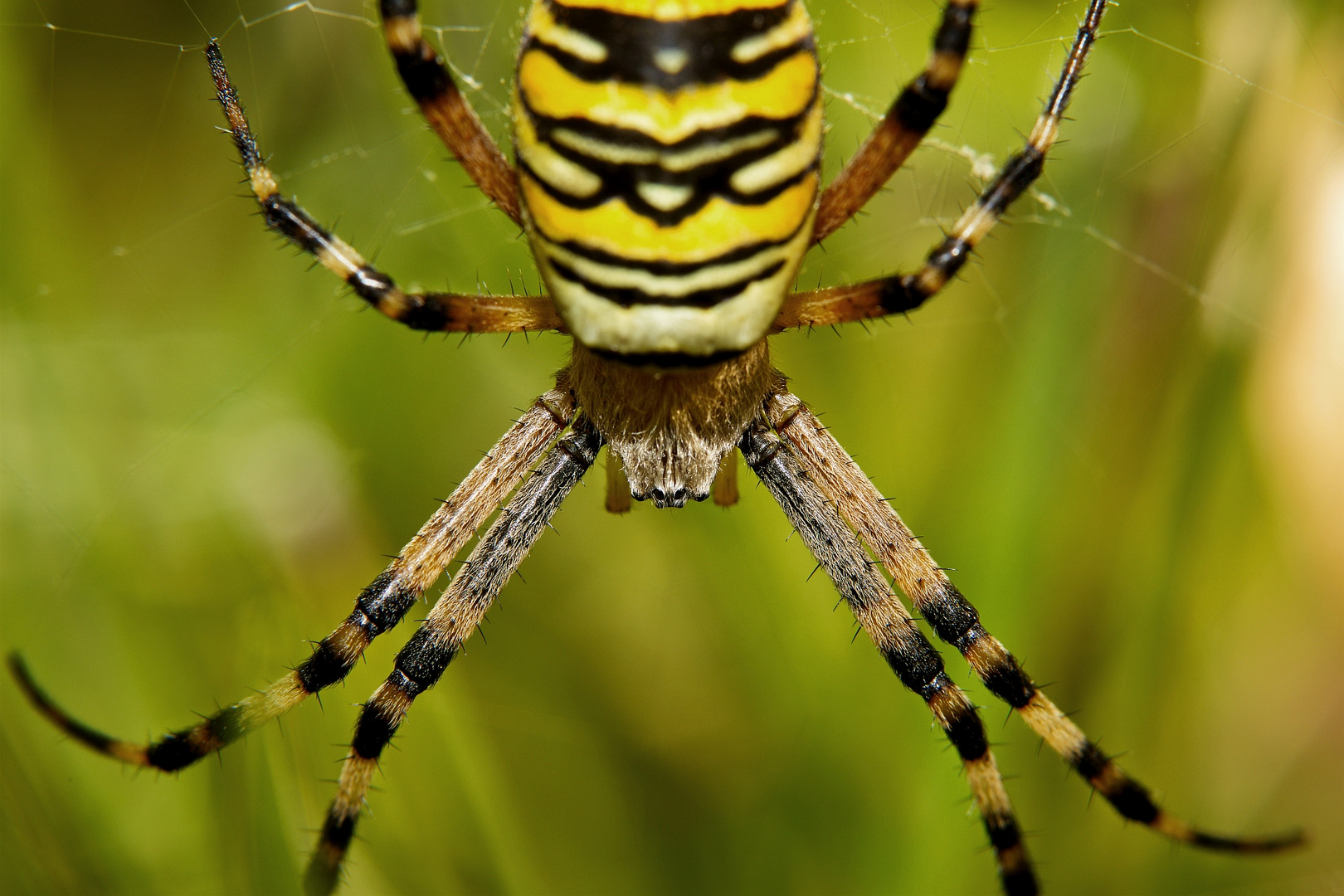 hanging around