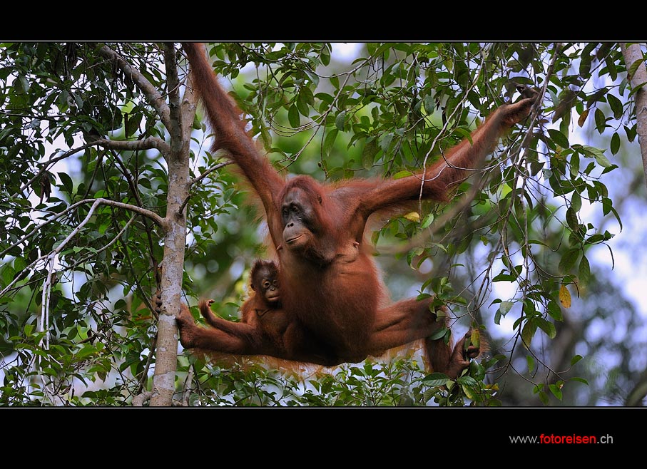 Hanging around