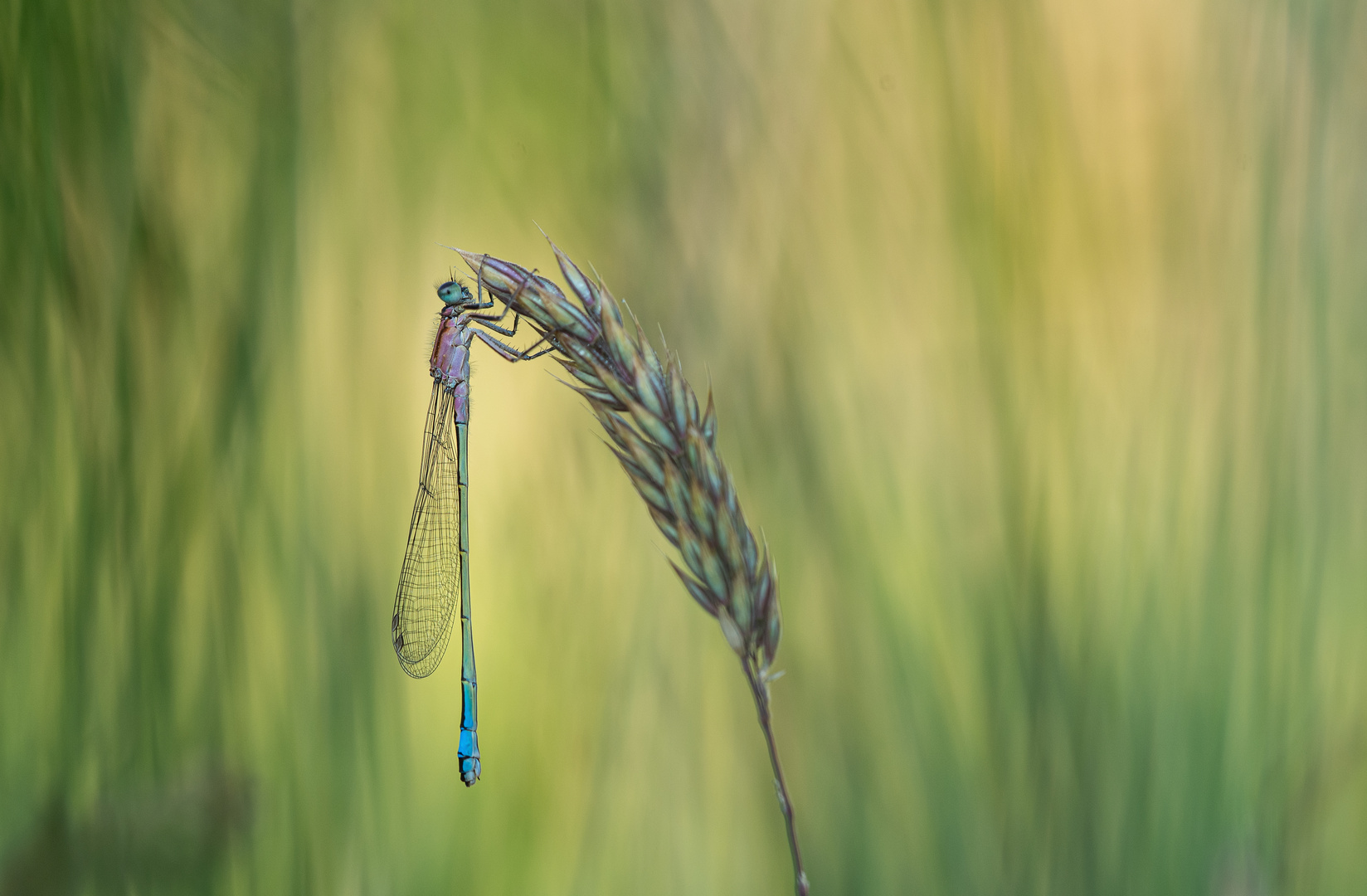 ___hanging around___________