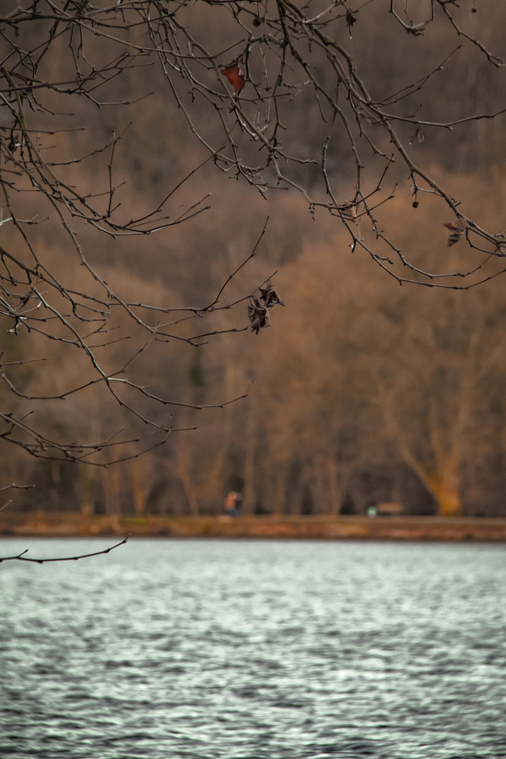 Hanging around