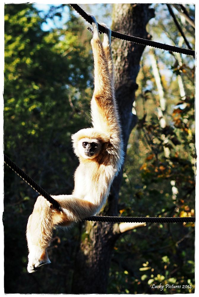 Hanging around - at the zOo