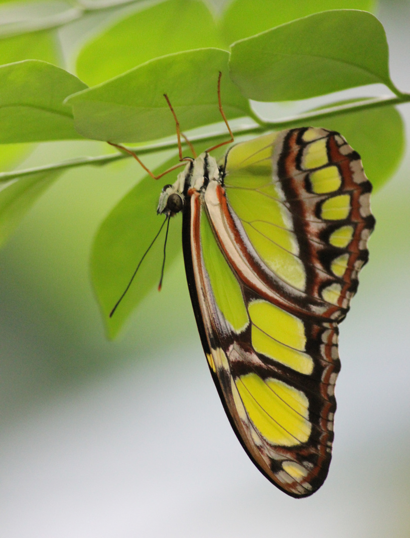 Hanging around...