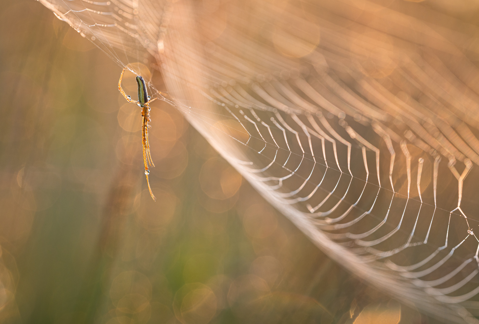 ____hanging around_________________