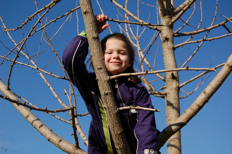 Hanging Around Waiting for Spring