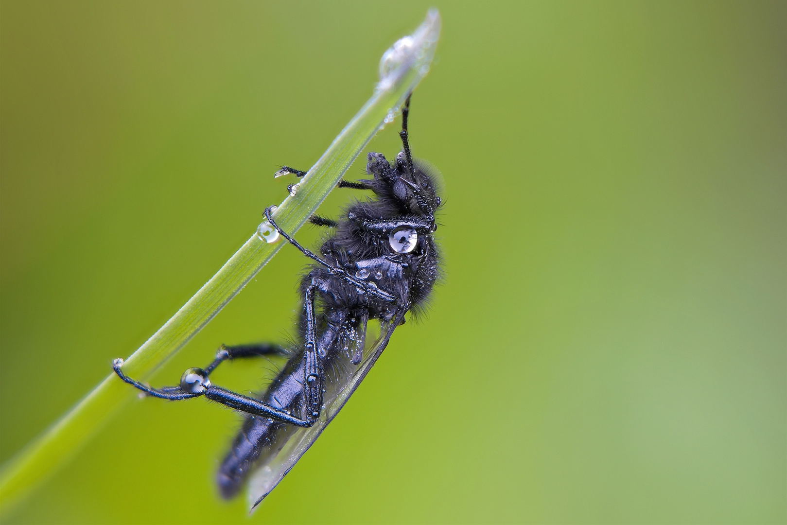 hanging arround 