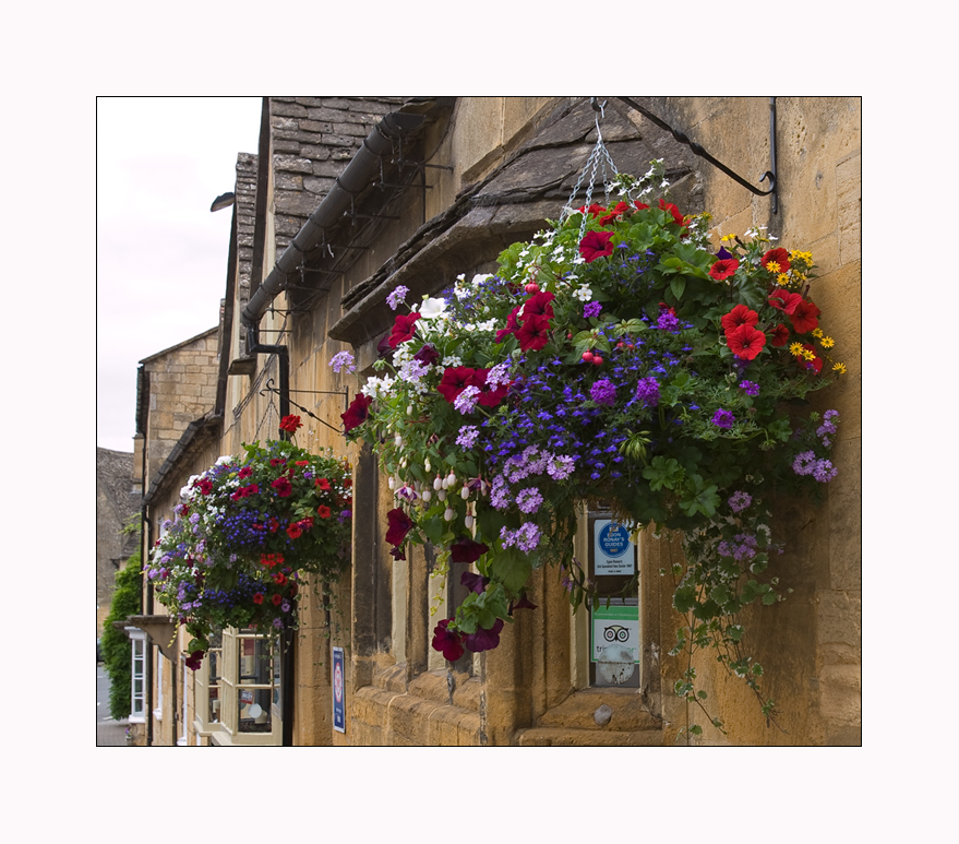 Hanging-Baskets