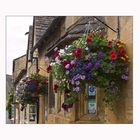 Hanging-Baskets