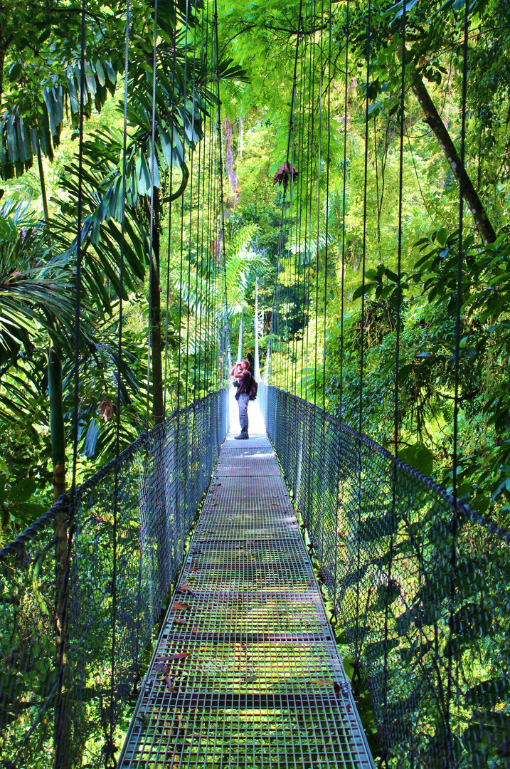 hanging bridge