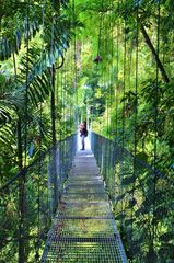 hanging bridge