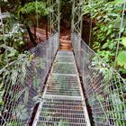 Hanging bridges Costa Rica