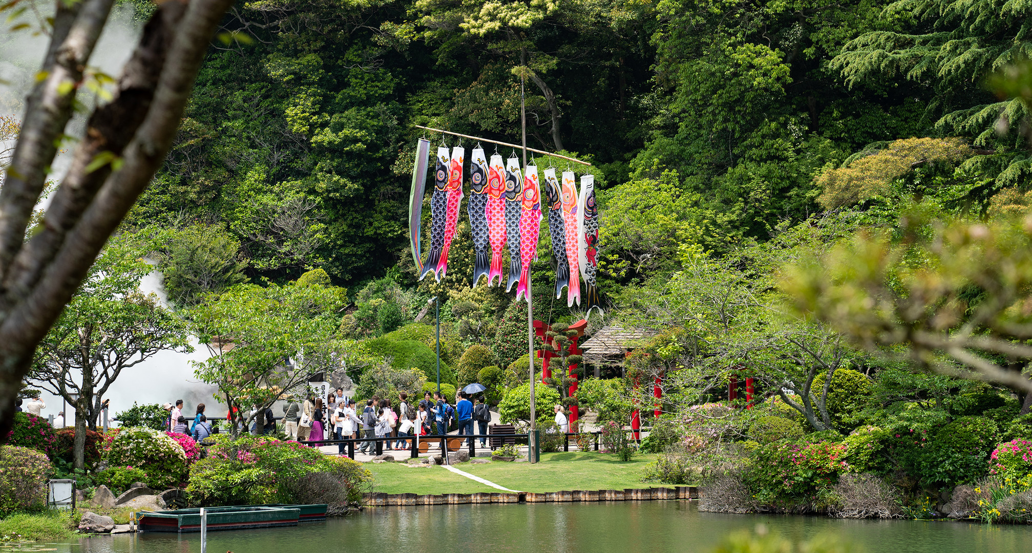 Hanging fish