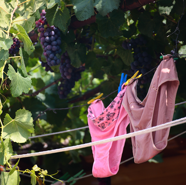 hanging fruits