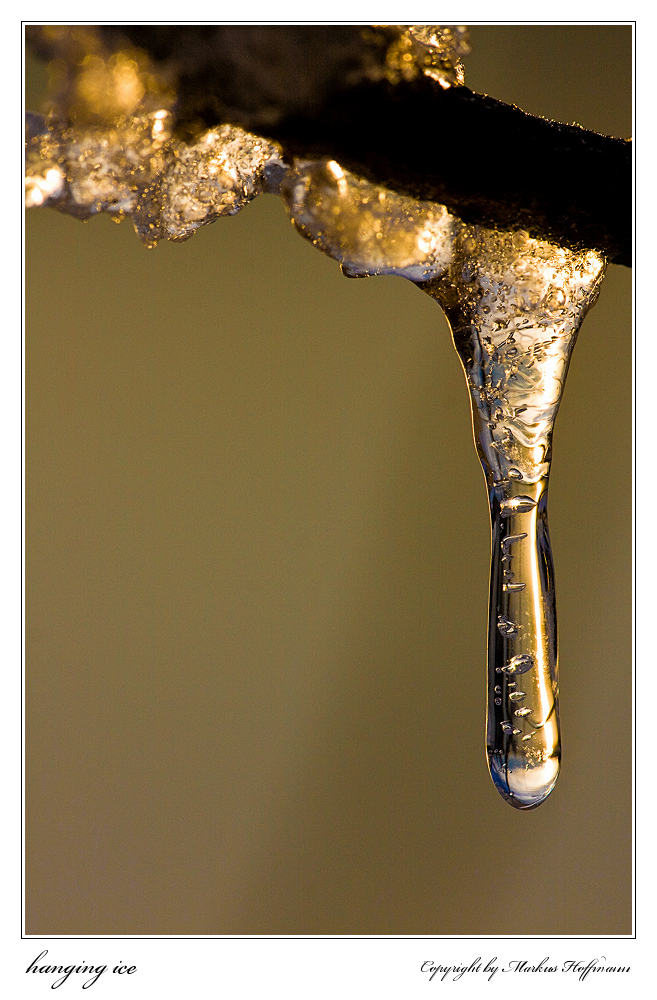 hanging ice