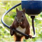 hanging on the Ceramic-Schwinge  .....