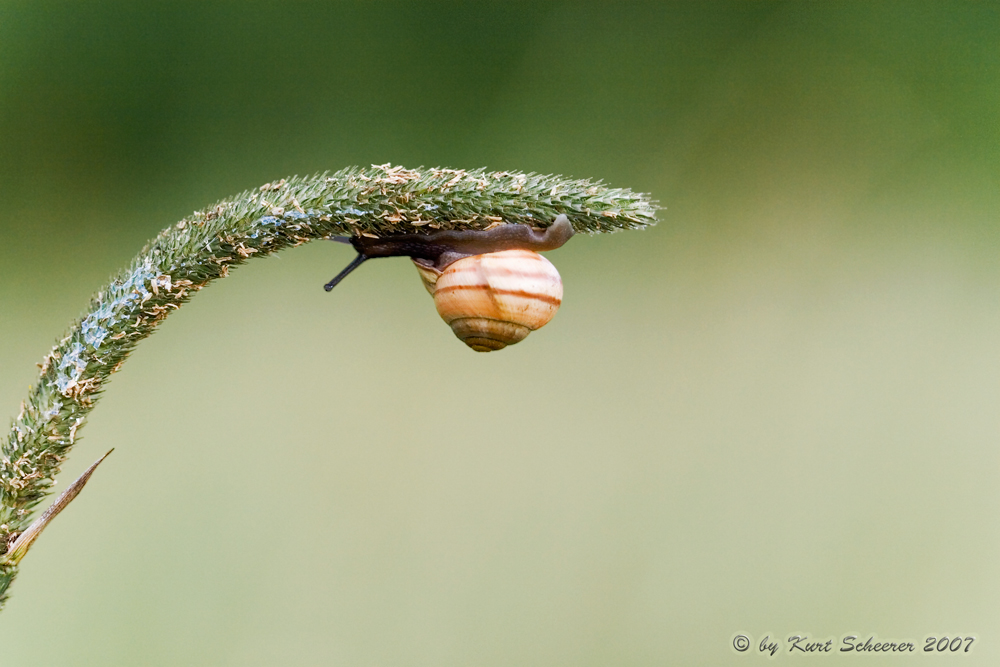 Hanging Over