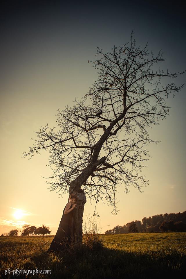 Hanging tree