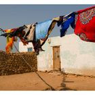 Hanging wash at dahlak