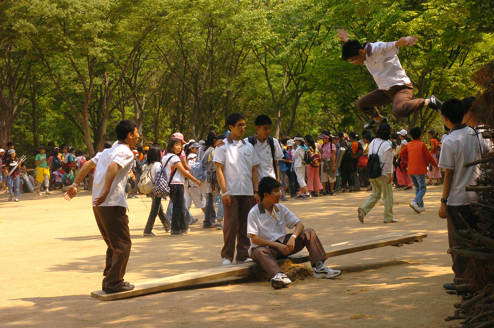 Hangook See-Saw