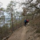 Hangweg am Edersee (2019_04_17_EOS 100D_4541_ji)