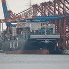 HANJIN AMERICA