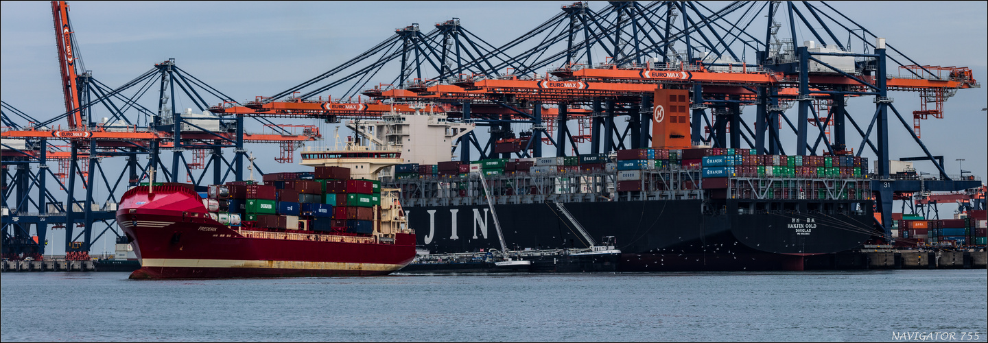 HANJIN GOLD / Container Vessel / Yangtzehafeen / Rotterdam