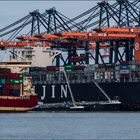 HANJIN GOLD / Container Vessel / Yangtzehafeen / Rotterdam