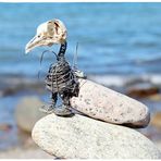 Hank an der Ostsee