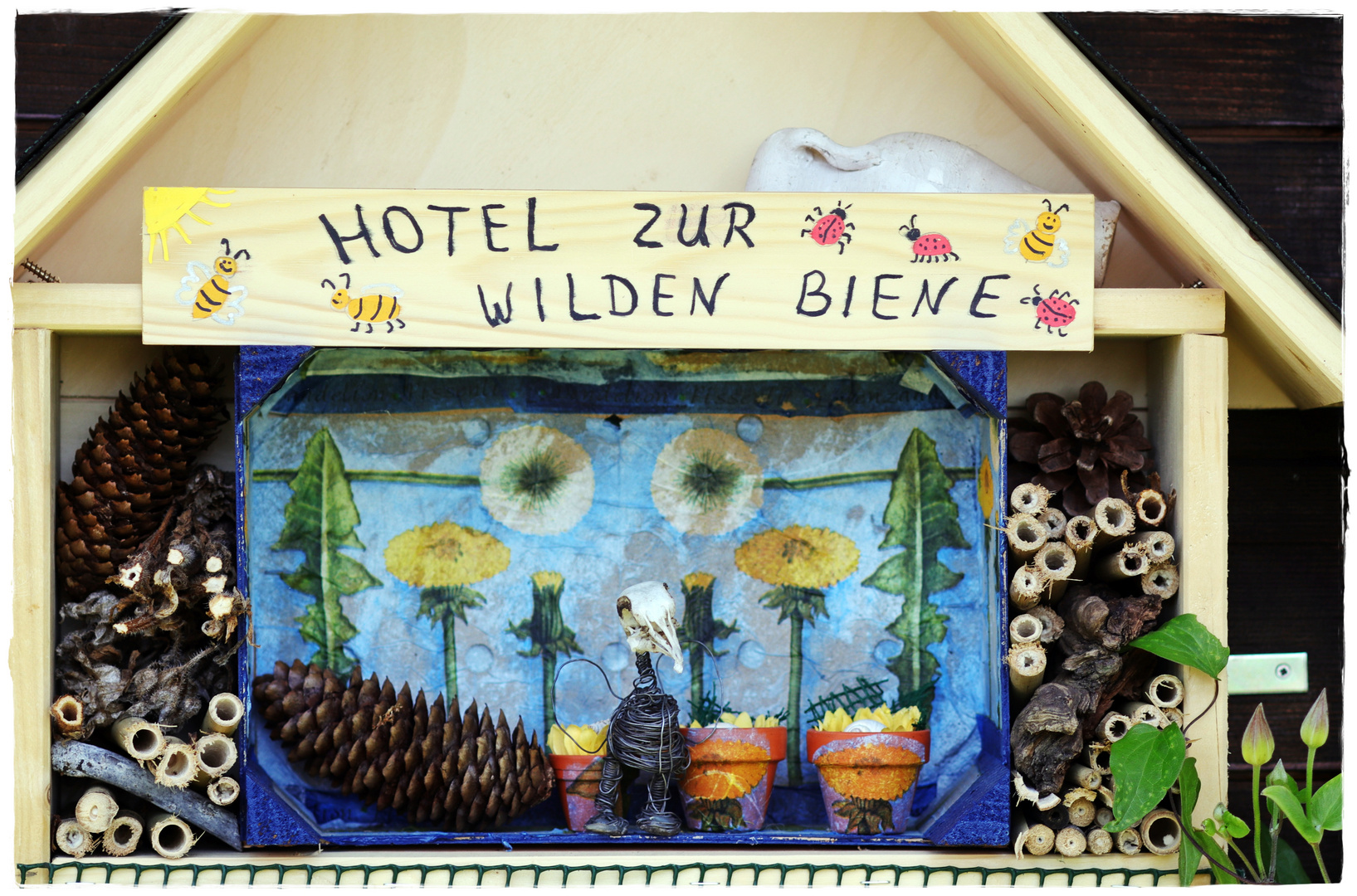 Hank im Hotel zur wilden Biene