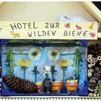 Hank im Hotel zur wilden Biene