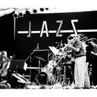 Hank Roberts / Jazzfestival Saalfelden 1988