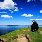 Hanklit in Dänemark am Limfjord