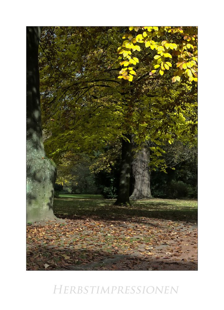 Hann. Mündener " Herbst - Impressionen "