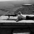 Hannah hinter einem Maschinengewehr auf einem Gefechtsstand auf den Golanhögen